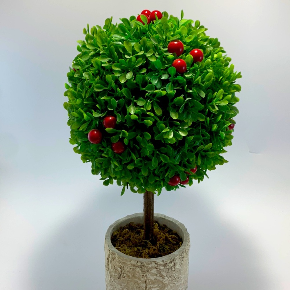 Beautifully crafted Topiary
